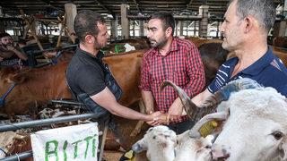 Araba fiyatına kurbanlık! Kurban pazarına yoğun ilgi: Bu kadar beklemiyorduk