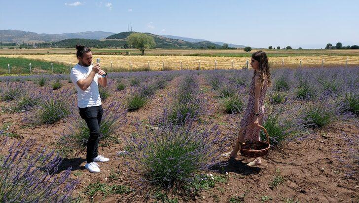 Amasya'da lavanta hasat şenliği düzenlendi G1