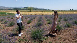 Amasya'da lavanta hasat şenliği düzenlendi