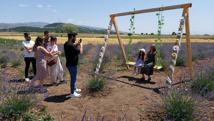 Amasya'da lavanta hasat şenliği düzenlendi G2