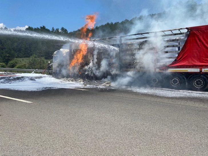 Anadolu Otoyolu'nda yanan tır kullanılamaz hale geldi G4