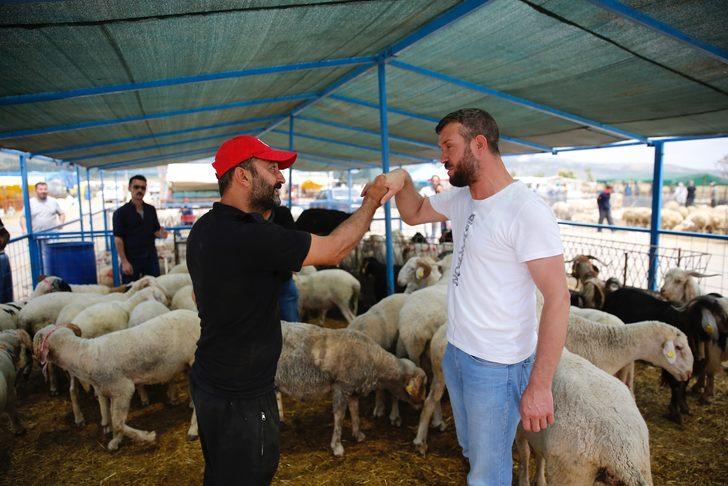 Kurban pazarlarında arife yoğunluğu G5