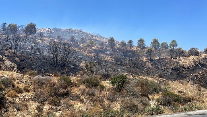 Muğla'da tarım arazisi ve makilik alanda çıkan yangın söndürüldü G3