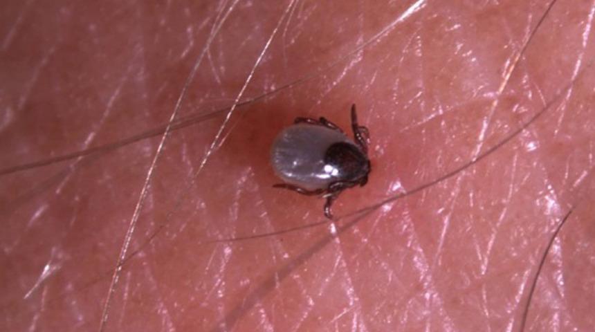 O ilde büyük panik! Mayıs ayından bu yana bilanço ağırlaştı