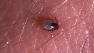 O ilde büyük panik! Mayıs ayından bu yana bilanço ağırlaştı