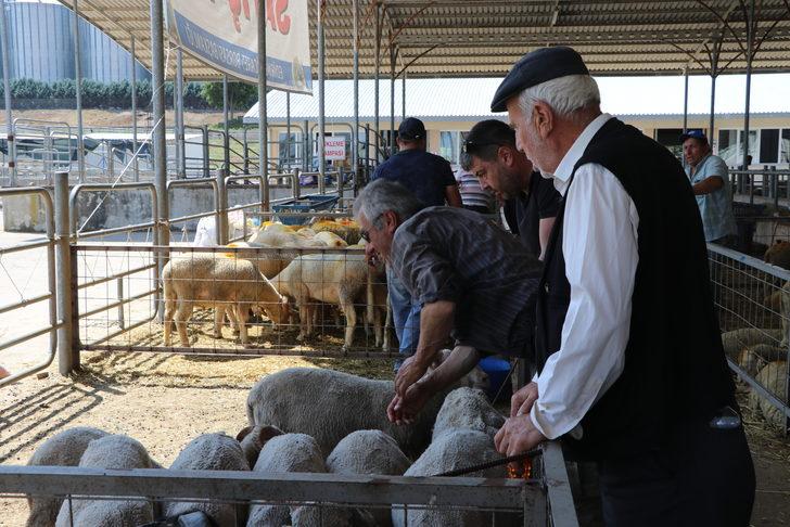 Trakya'da kurban pazarlarında arife yoğunluğu G3
