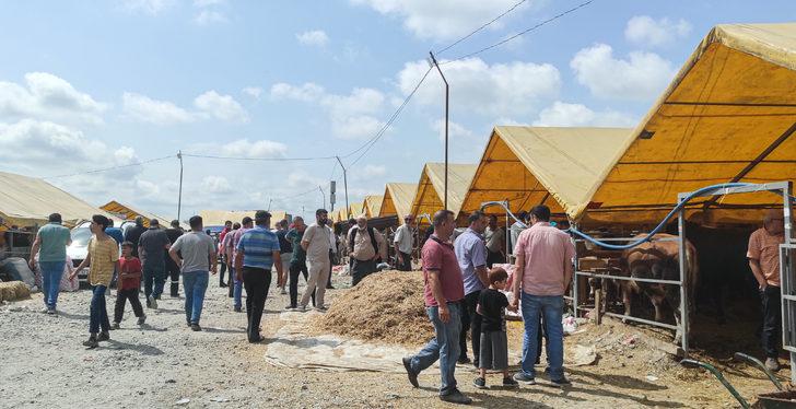 İstanbul'daki kurban pazarlarında arife günü yoğunluğu G3