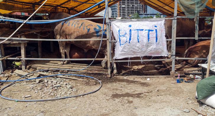 İstanbul'daki kurban pazarlarında arife günü yoğunluğu G4