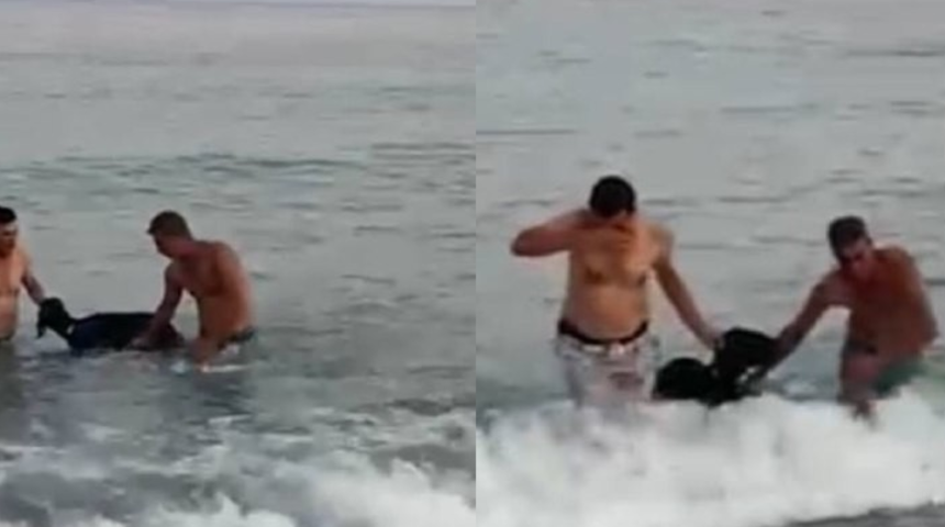 Kurbanlık keçi denize atladı, yüzerek kaçmaya çalıştı: Ben böyle şey hayatta görmedim