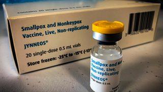 Hollanda'da eşcinsel erkekler maymun çiçeği virüsüne karşı aşılanacak