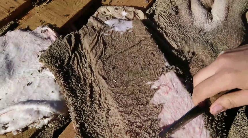 İşkembe nasıl temizlenir? Pratik işkembe temizleme yöntemi ve püf noktaları...