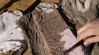 İşkembe nasıl temizlenir? Pratik işkembe temizleme yöntemi ve püf noktaları...