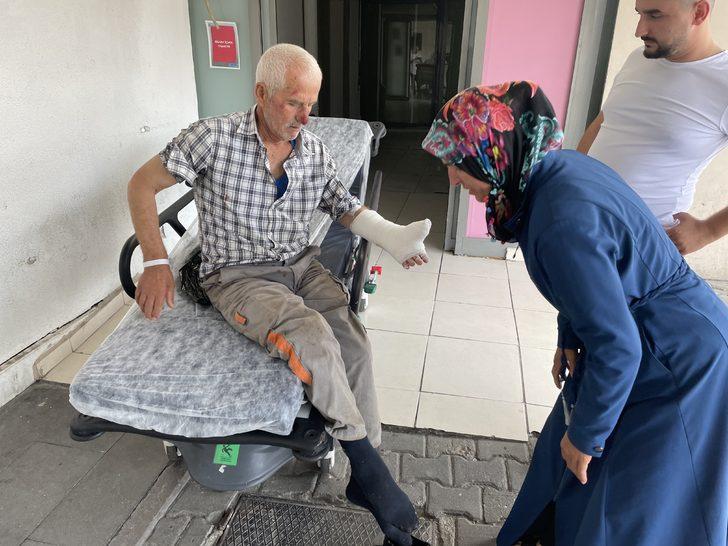 Doğu Marmara ve Batı Karadeniz'de "acemi kasaplar" hastanelik oldu G1