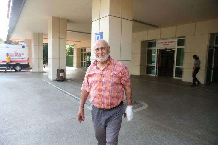 Doğu Marmara ve Batı Karadeniz'de "acemi kasaplar" hastanelik oldu G5