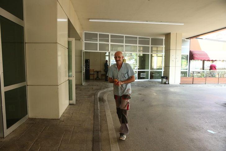 Doğu Marmara ve Batı Karadeniz'de "acemi kasaplar" hastanelik oldu G3