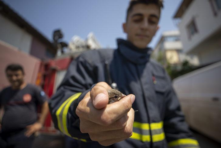 Antalya'da duvara sıkışan kuş yavrusu itfaiye ekiplerince kurtarıldı G1