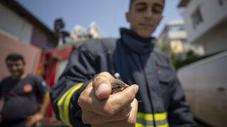 Antalya'da duvara sıkışan kuş yavrusu itfaiye ekiplerince kurtarıldı
