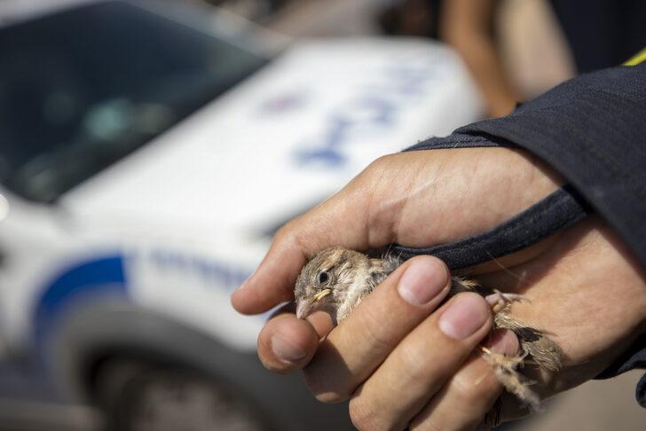 Antalya'da duvara sıkışan kuş yavrusu itfaiye ekiplerince kurtarıldı G2