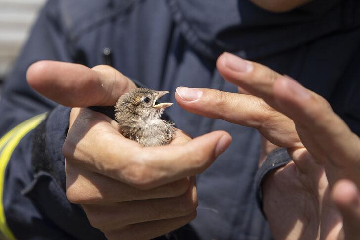 Antalya'da duvara sıkışan kuş yavrusu itfaiye ekiplerince kurtarıldı G3