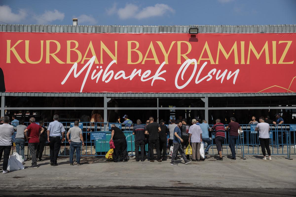 İstanbul'da kurban pazarları ve kesimhanelerde hareketlilik yaşanıyor