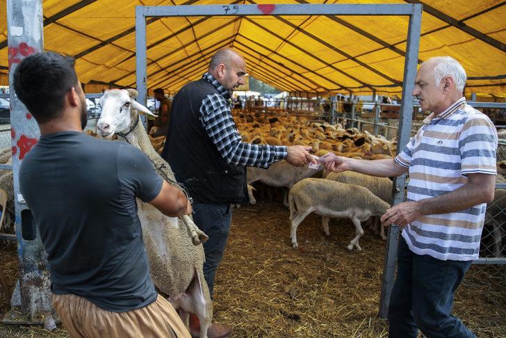 İstanbul'da kurban pazarları ve kesimhanelerde hareketlilik yaşanıyor G3