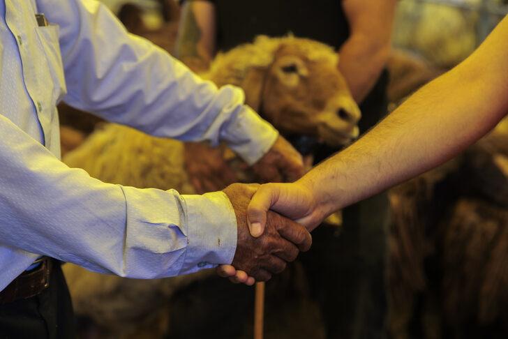 İstanbul'da kurban pazarları ve kesimhanelerde hareketlilik yaşanıyor G4