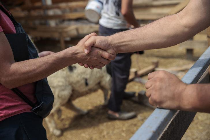 İstanbul'da kurban pazarları ve kesimhanelerde hareketlilik yaşanıyor G5