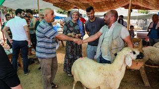 Adana, Mersin, Hatay ve Osmaniye'de kurbanlık pazarlarında yoğunluk sürüyor