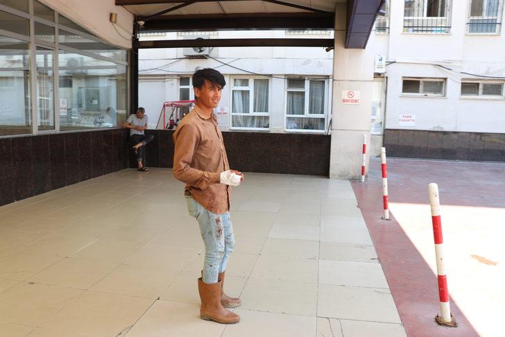 İzmir ve çevre illerde "acemi kasap"lar hastanelik oldu G1