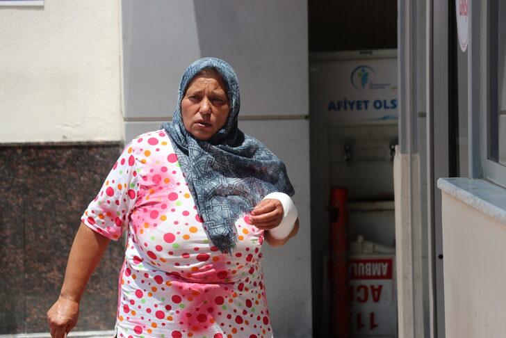 İzmir ve çevre illerde "acemi kasap"lar hastanelik oldu G4