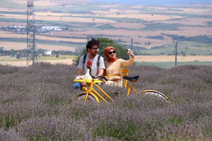 Tekirdağ'ın lavanta tarlaları bayramda misafirlerini ağırlıyor G1