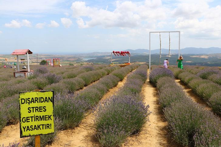 Tekirdağ'ın lavanta tarlaları bayramda misafirlerini ağırlıyor G2