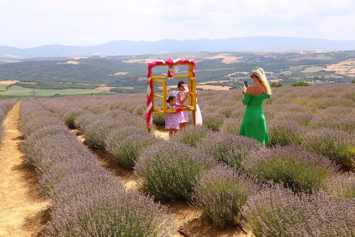 Tekirdağ'ın lavanta tarlaları bayramda misafirlerini ağırlıyor G4