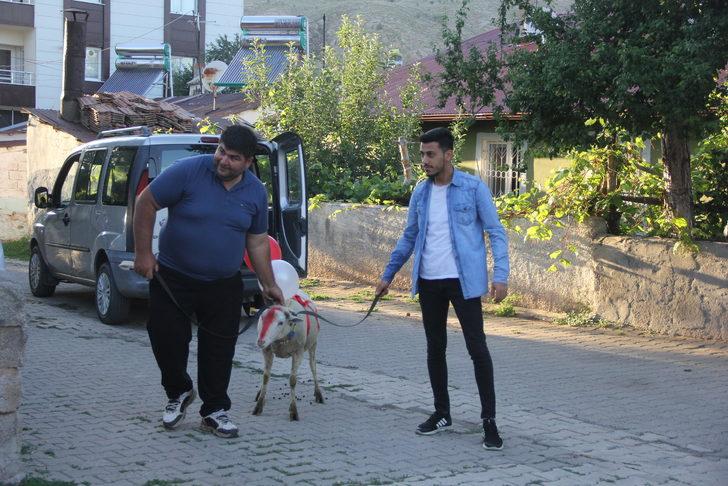 Sivas'ta nişanlı kızın evine kurbanlık koç götürme geleneği yaşatılıyor G3