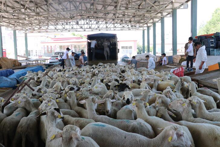 Uluslararası Demokratlar Birliği Yozgat'ta 500 kurban kesti G4
