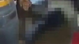 Güney Afrika’da barda düzenlenen silahlı saldırı dehşeti yaşattı! Rastgele ateş açtı: 14 ölü...