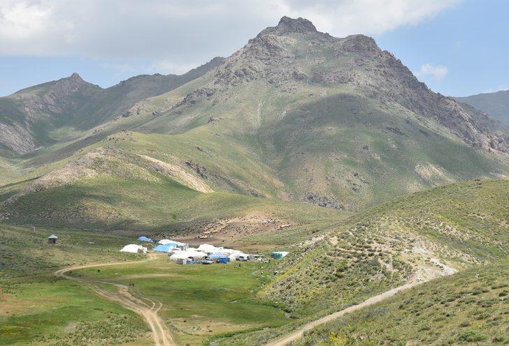 Hakkari'de hayvancılıkla uğraşan aileler 2 bin 800 rakımlı yaylada bayramlaştı G1