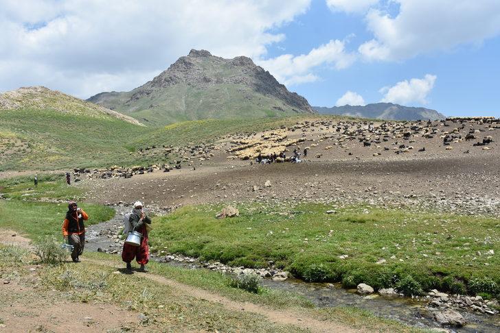Hakkari'de hayvancılıkla uğraşan aileler 2 bin 800 rakımlı yaylada bayramlaştı G3