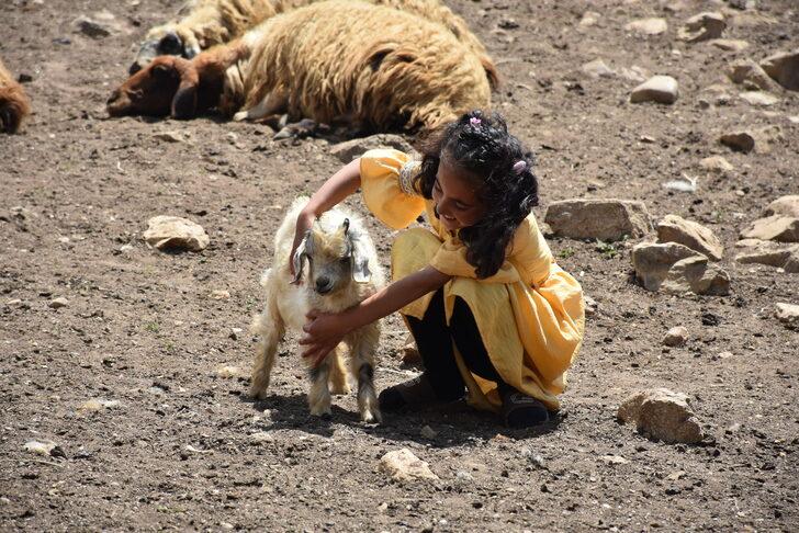 Hakkari'de hayvancılıkla uğraşan aileler 2 bin 800 rakımlı yaylada bayramlaştı G4