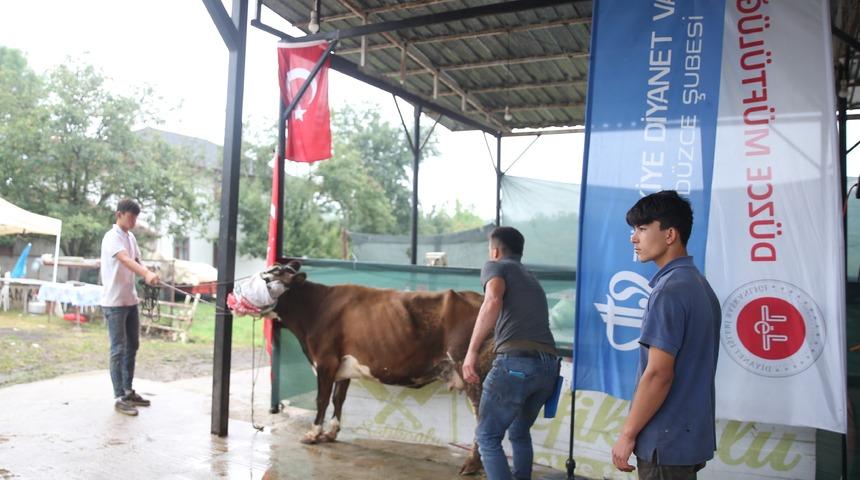 Cumhurbaşkanı Erdoğan'ın TDV'ye bağışladığı kurban Düzce'de kesildi