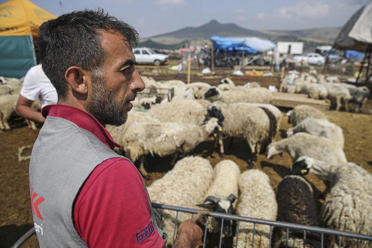 Başkentte bayramın ikinci günü kurban pazarlarındaki yoğunluk devam etti G3