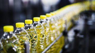 Ayçiçek yağı fiyatları yükselirken üreticiden iyi haber geldi! Hasat zamanı geldi çattı! Rekolte yüz güldürdü