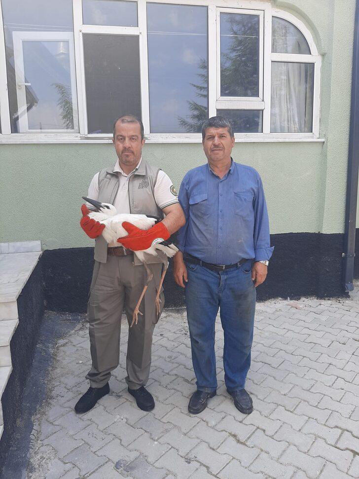 Afyonkarahisar'da cami avlusunda bulunan leylek yavrusu koruma altına alındı G5