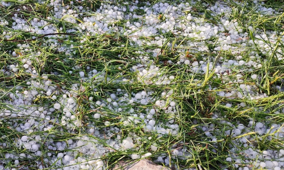 Bilecik'teki sağanak ve dolu tarım arazilerine zarar verdi