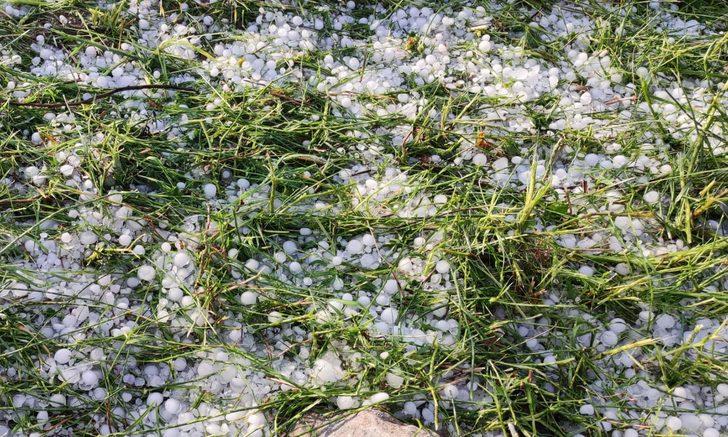 Bilecik'teki sağanak ve dolu tarım arazilerine zarar verdi G1