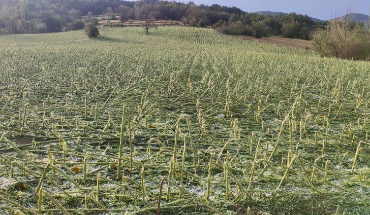 Bilecik'teki sağanak ve dolu tarım arazilerine zarar verdi G3