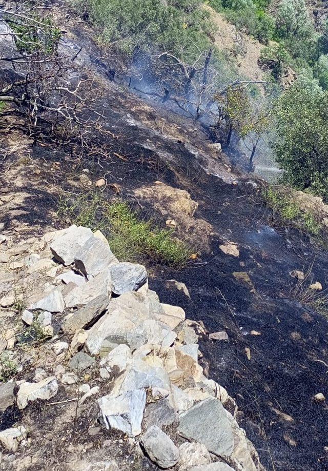 Malatya'nın Pütürge ilçesinde otluk alanda çıkan yangın söndürüldü