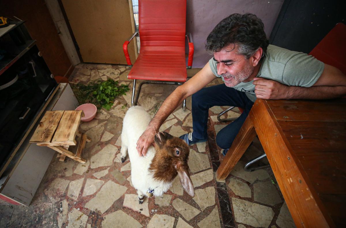 Mersin'de k&ouml;peği kaybolan marangoz, annesi &ouml;len kuzuya sahip &ccedil;ıktı