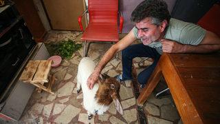 Mersin'de köpeği kaybolan marangoz, annesi ölen kuzuya sahip çıktı