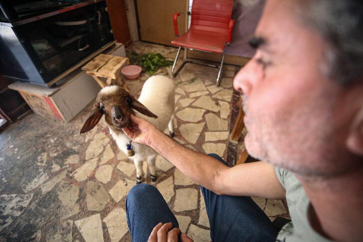 Mersin'de köpeği kaybolan marangoz, annesi ölen kuzuya sahip çıktı G3